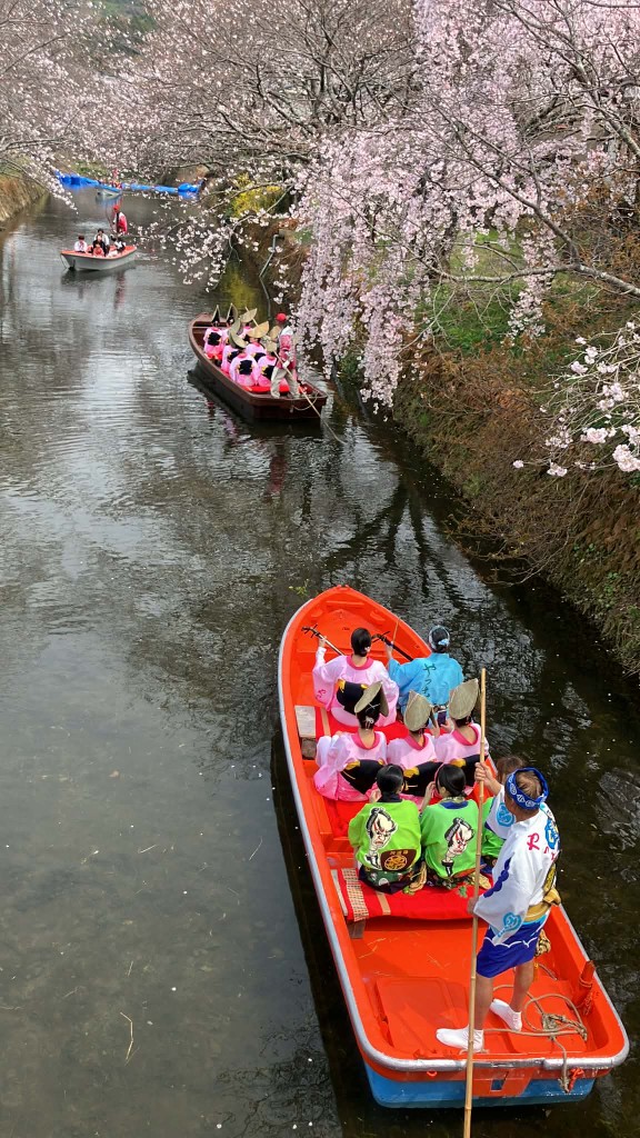桜まつりの川での舟行